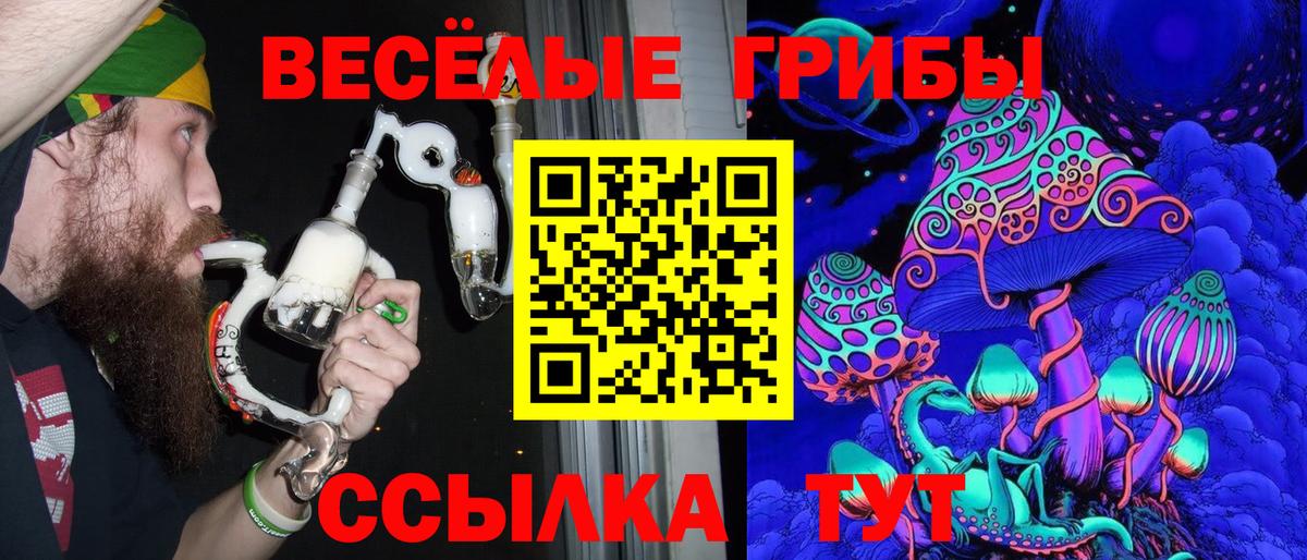 Галлюциногенные грибы Psilocybe  Вход с VPN  Ессентуки 